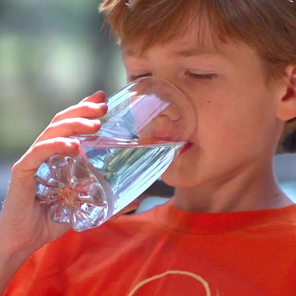 Replacement Water Filters Pelican Water Whole House Water Filtration System Chloramine Filter Replacement - Image 5